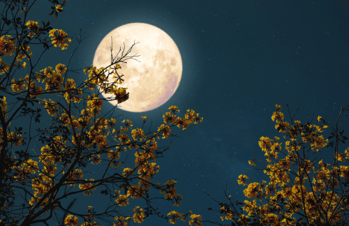 De energie van de volle maan van 6 april in het teken Weegschaal